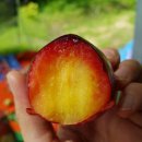 봉자농장 이미지