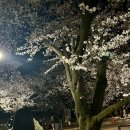 붐바타 순천향대점 이미지