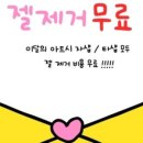 네일이슈