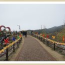 노블파크아파트 버스정류소 이미지
