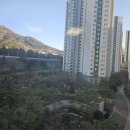 대우마린공인중개사사무소 이미지