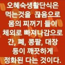 오혜숙생활단식채비지사 이미지
