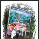 성당새마을금고앞 이미지