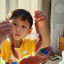 또다시 찾아간 대게집 대흥수산.. 조카와 꽃게 먹방! 내돈내산