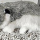 동성약국 이미지