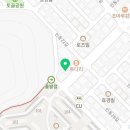 닥엔돈스진평점