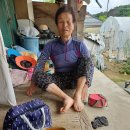 월야면사무소 Daum카페