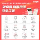 와우솔루션