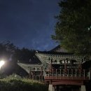 죽도봉 주차장 내 이미지