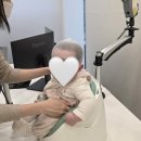 소독하는남자들 | 5개월 단두교정 하니헬멧 하남 후기 [추천인 할인 가능!]