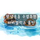 하비엘럭스 | 동탄 하비엘럭스 어린이수영장 반송점 성인반 6개월 후기, 수영 장점 및 추천!