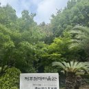 제주현대미술관 이미지