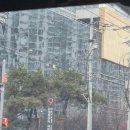 충남대학교 | 충남대학교 권역류마티스센터 진료후기 사람 진짜 많다.