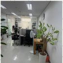 세무회계해수 이미지