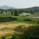 구자옥공인중개사사무소 이미지