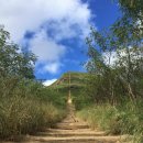 코코정비 이미지