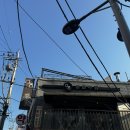 이태원 술집 문화주점 컬쳐 닭도리탕 안 먹으면 유죄에요