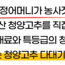 지야네외가집고추다대기 이미지