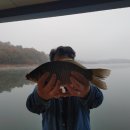 연론낚시터 이미지