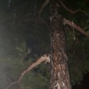 순천한증막 이미지