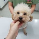 화산네거리 이미지