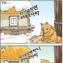 서당개 이미지