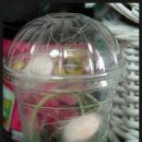 열린창의어린이집 이미지