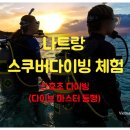 하루더다이브