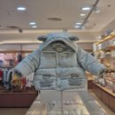 J-006 이미지