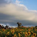 연천 호로고루 이미지