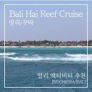발리 액티비티 추천 | 하루 종일 바다에서 놀았던 발리하이 리프크루즈 후기 Bali Hai Reef Cruise