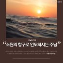 소원의항구