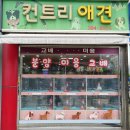 컨트리애견의집 이미지