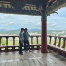 솔마루 울산신문