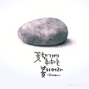 가시나무 소중인연 십분기적 몸의장부 이미지