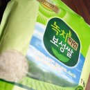 &lt;체험후기&gt;보성녹차미인 녹차쌀~~