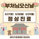 에이치동물메디컬센터 이미지