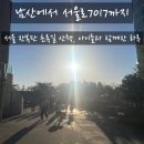 용산-432 | 남산에서 서울역까지, 서울로7017 나들이 후기 [25.10.08]