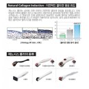에스엠지 이미지