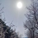 장호원읍 국민체육센터 이미지