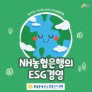 영광상사 | [N돌핀13기]N돌핀13기 합격후기 및 활동수기
