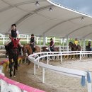 장수승마장 이미지