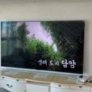 덕진-98 이미지