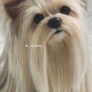 엘시티2층365하나약국 이미지