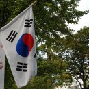 문화영 이미지