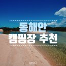 (주)티피팜 | 동해안 캠핑장 추천 #LPMALL