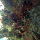 보라카이 | 보라카이 호핑투어 후기 아이와 함께 카라바오섬 투어