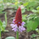 한농한의원 이미지