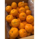 중귤농장 이미지