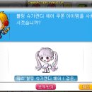 블링헤어 이미지